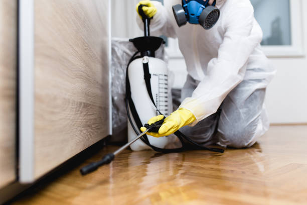 Best Affordable Pest Control Services  in Orlinda, TN