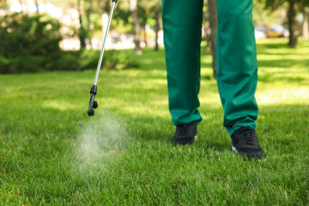Best Affordable Pest Control Services  in Orlinda, TN