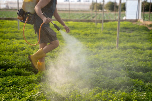 Best Ant Control Services  in Orlinda, TN
