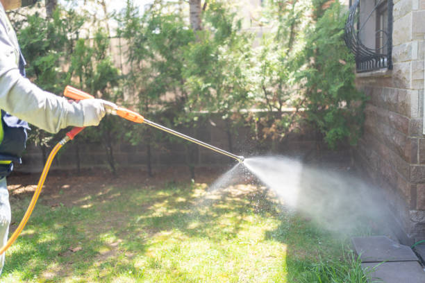 Best Residential Pest Control  in Orlinda, TN