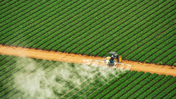 Best Pest Prevention Services  in Orlinda, TN
