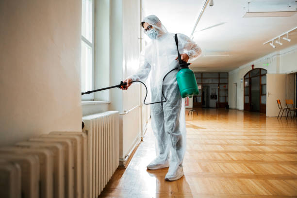 Best Local Pest Control Services  in Orlinda, TN