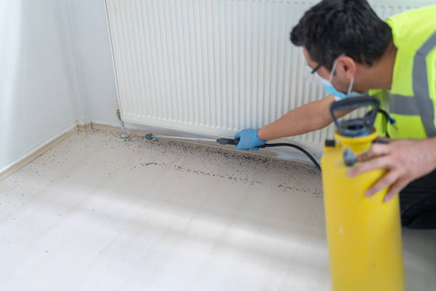 Best Emergency Pest Control  in Orlinda, TN