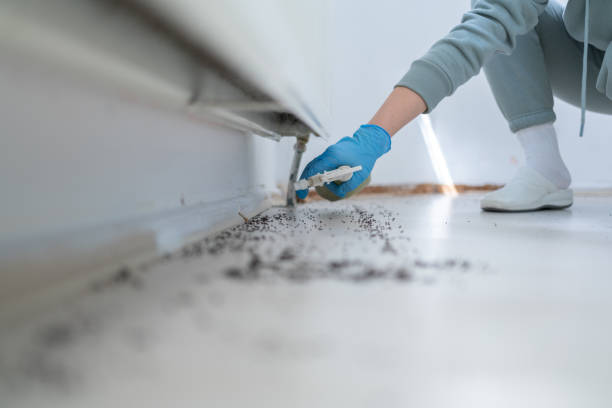 Best Best Pest Control Companies  in Orlinda, TN