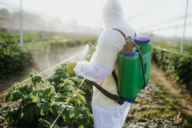 Best Insect Control  in Orlinda, TN